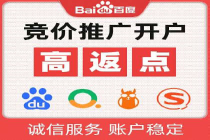 百度竞价赚钱的技巧与成功案例探讨